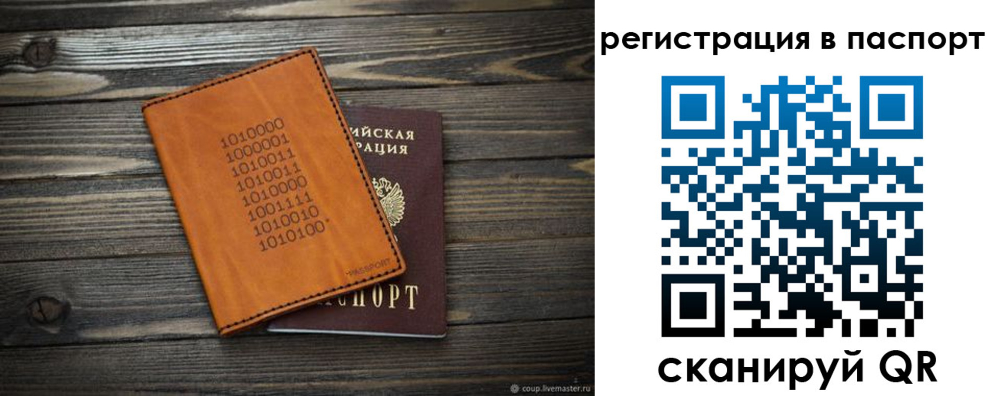 прописка для школы в Вологодской области